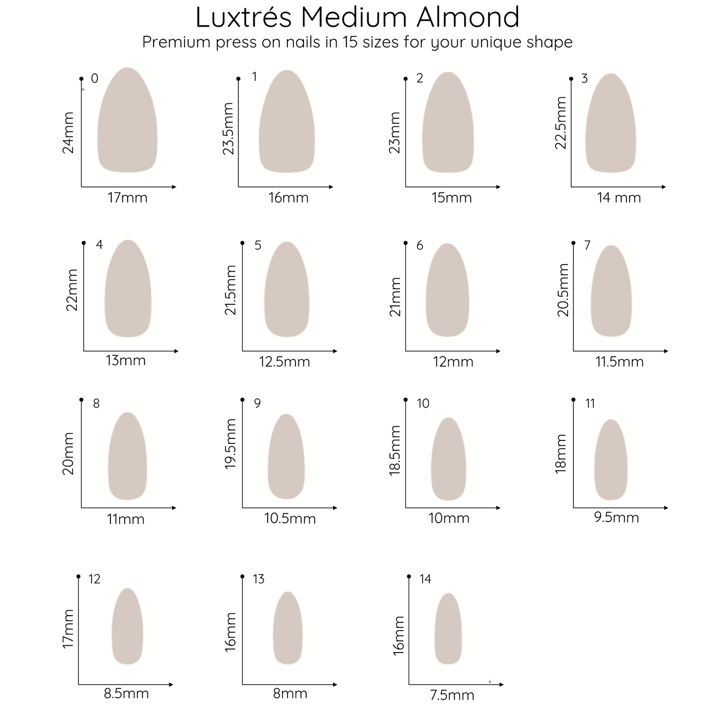 Dark Wine in Short Almond