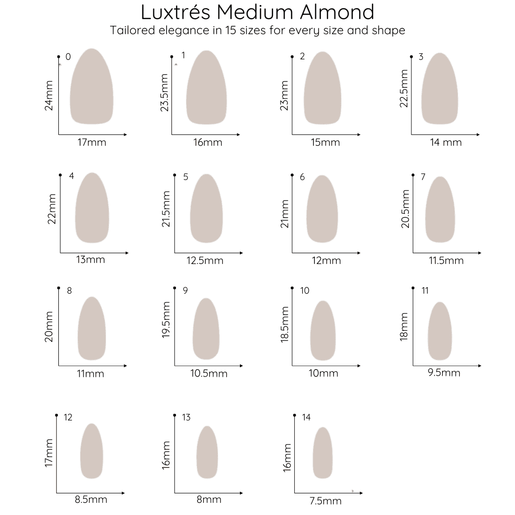 Tortoise in Medium Almond