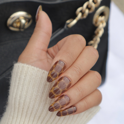 Tortoise in Medium Almond